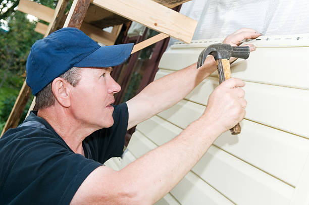 Best Fiber Cement Siding Installation  in Linden, MI